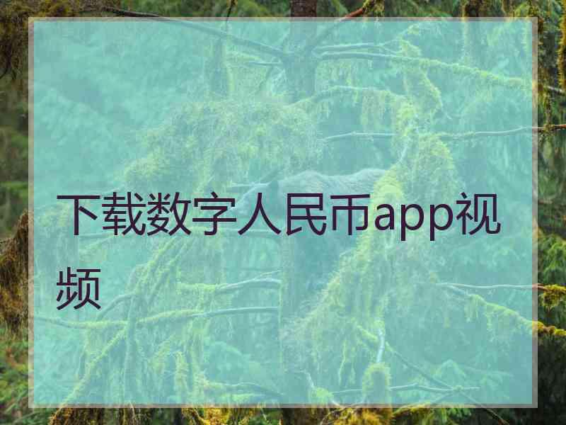 下载数字人民币app视频