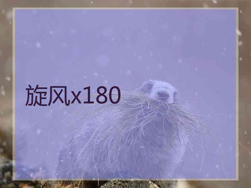 旋风x180