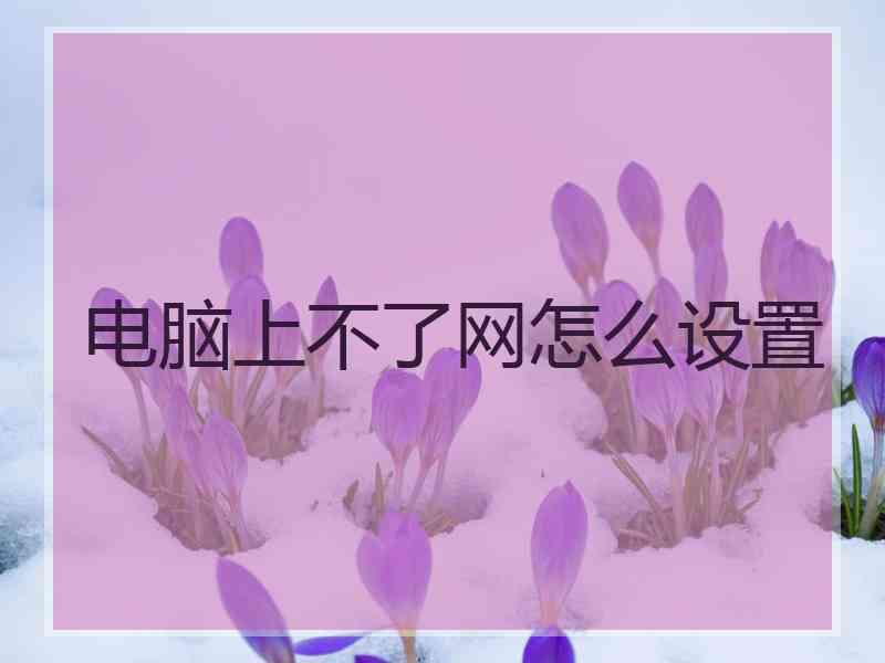 电脑上不了网怎么设置