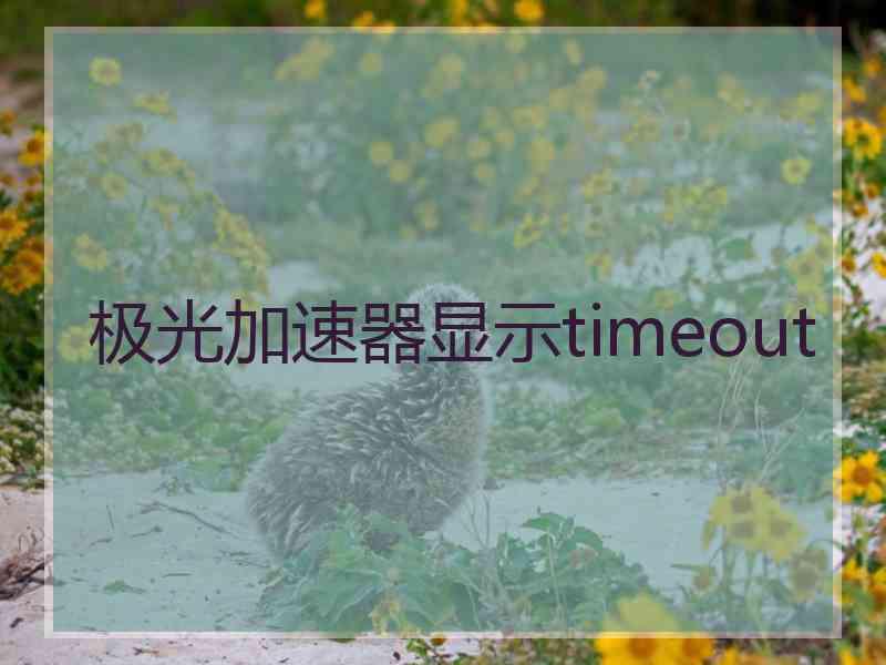 极光加速器显示timeout