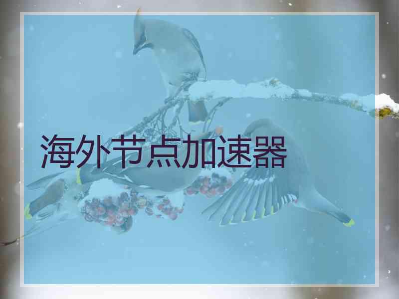 海外节点加速器