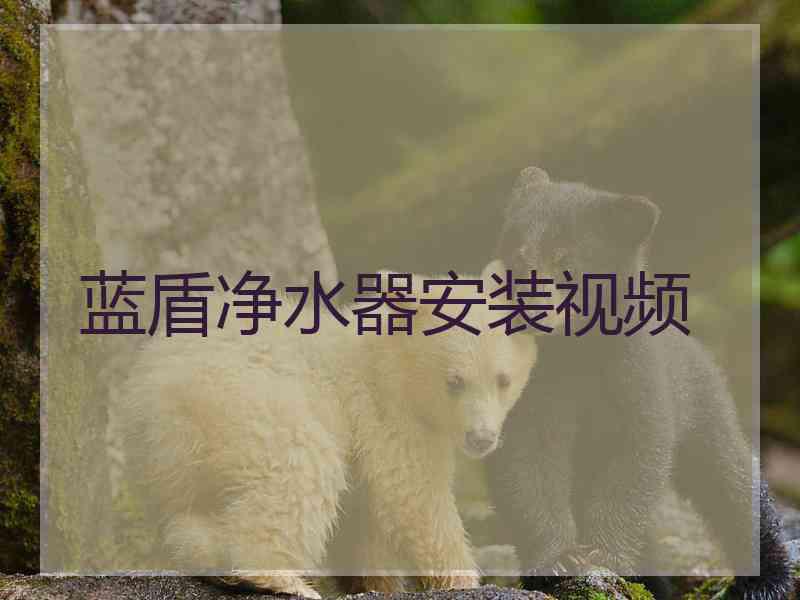 蓝盾净水器安装视频