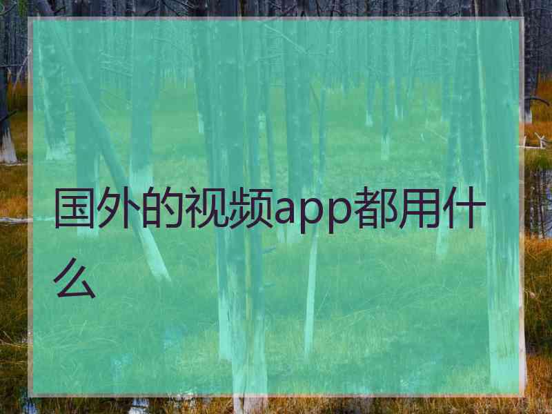 国外的视频app都用什么
