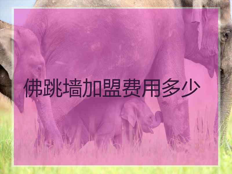 佛跳墙加盟费用多少