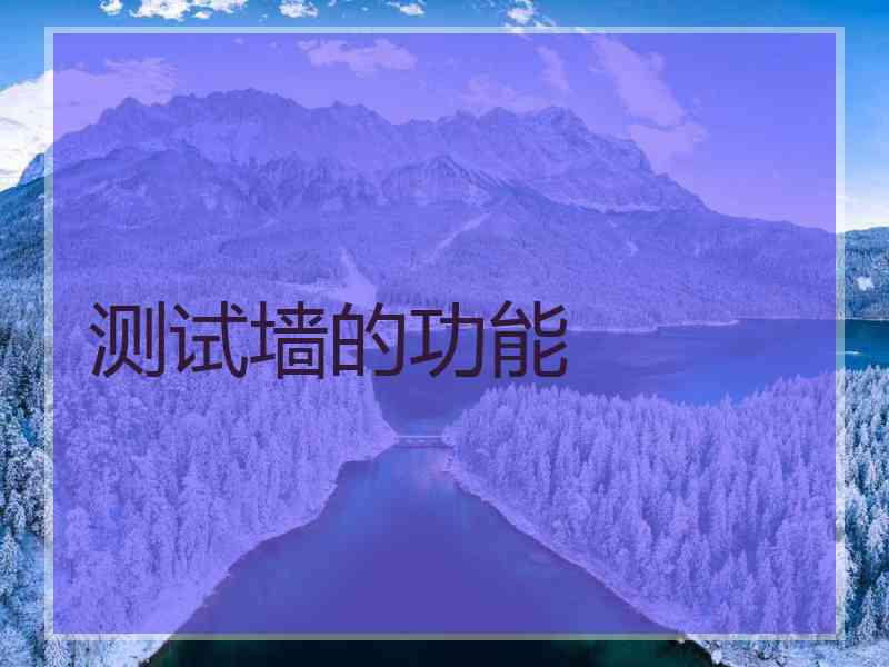 测试墙的功能