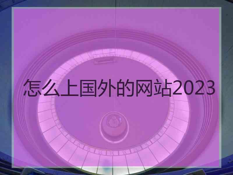 怎么上国外的网站2023
