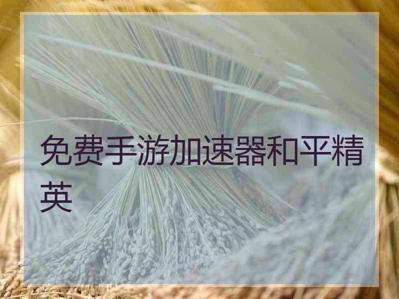 免费手游加速器和平精英