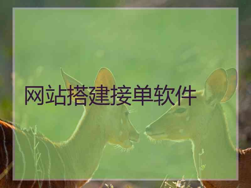网站搭建接单软件