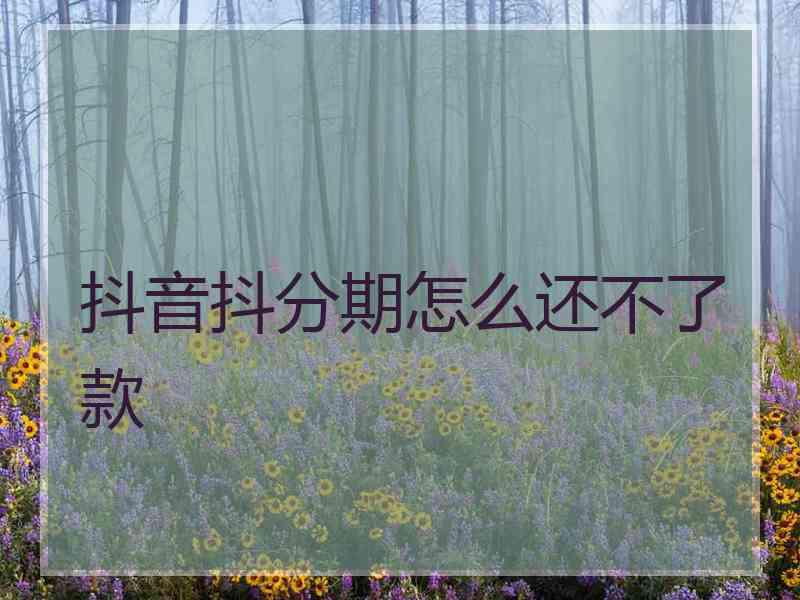 抖音抖分期怎么还不了款