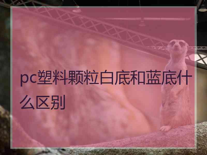 pc塑料颗粒白底和蓝底什么区别