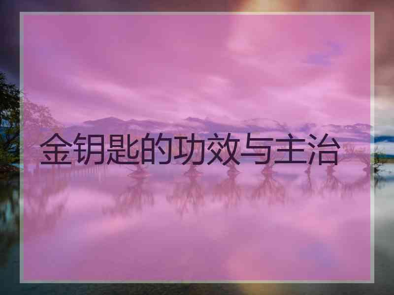金钥匙的功效与主治