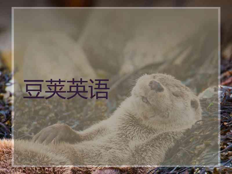 豆荚英语