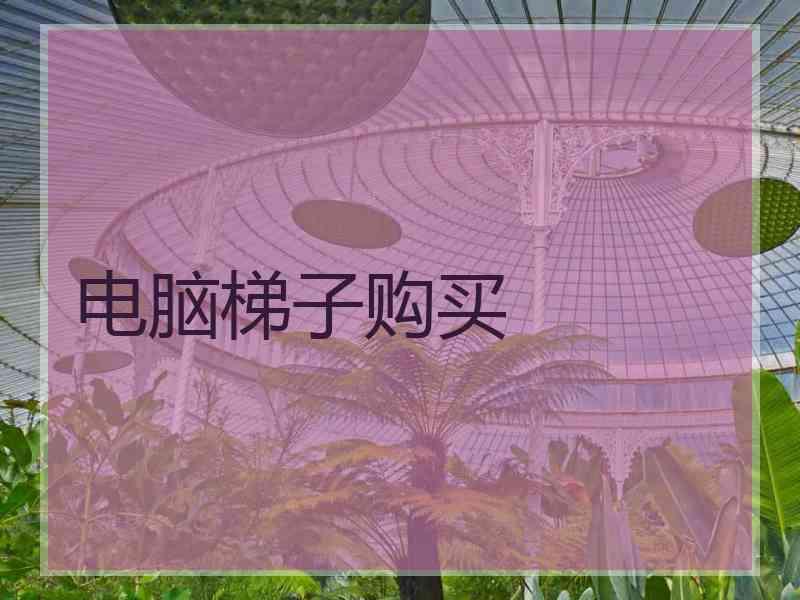 电脑梯子购买