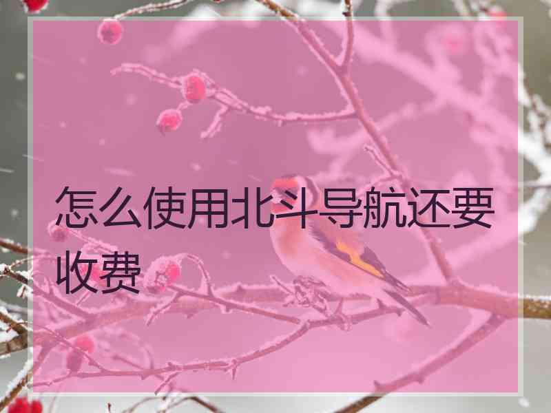 怎么使用北斗导航还要收费