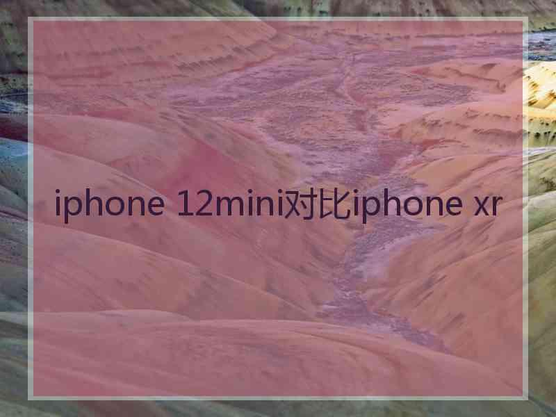 iphone 12mini对比iphone xr