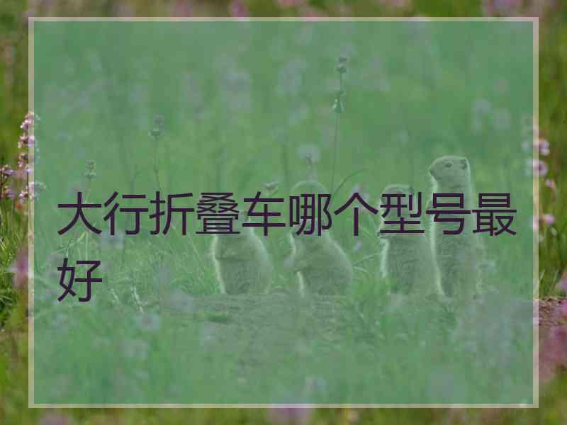 大行折叠车哪个型号最好