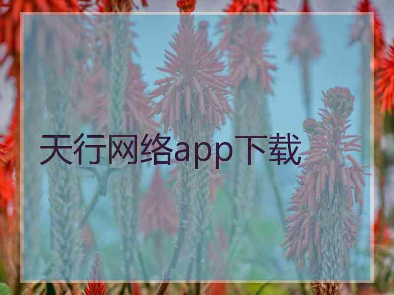 天行网络app下载