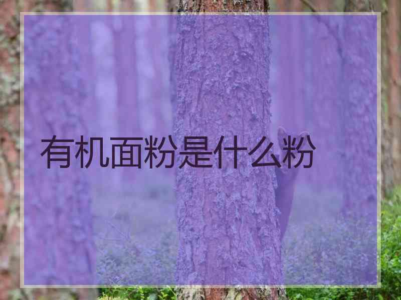 有机面粉是什么粉