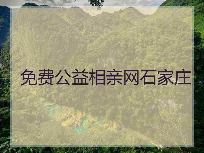 免费公益相亲网石家庄