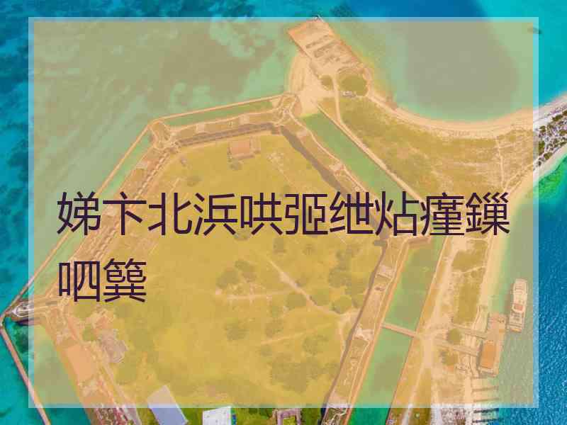 娣卞北浜哄弬绁炶瘽鏁呬簨