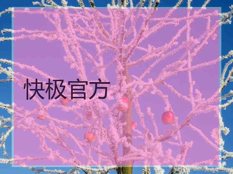 快极官方