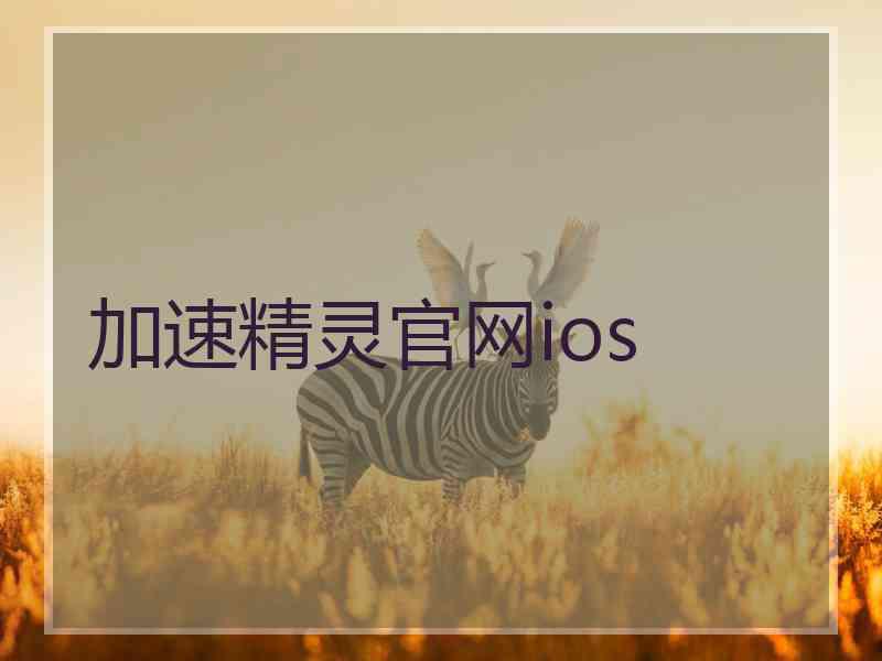 加速精灵官网ios