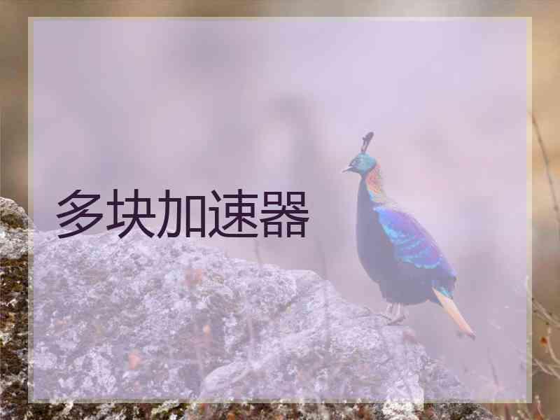 多块加速器
