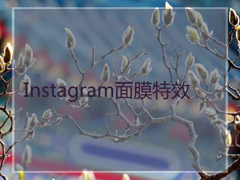 Instagram面膜特效
