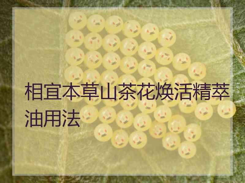 相宜本草山茶花焕活精萃油用法
