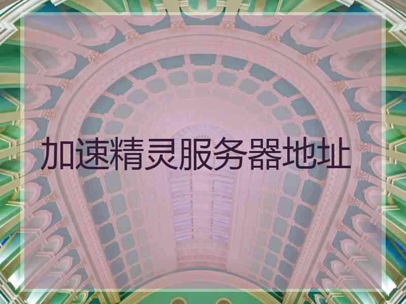 加速精灵服务器地址