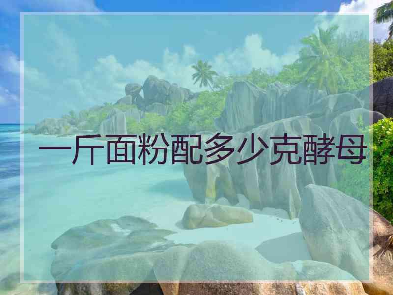一斤面粉配多少克酵母