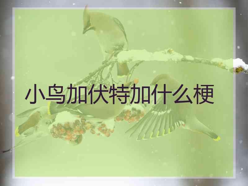 小鸟加伏特加什么梗