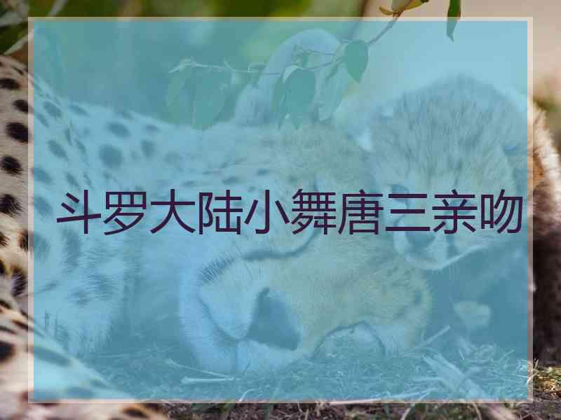 斗罗大陆小舞唐三亲吻