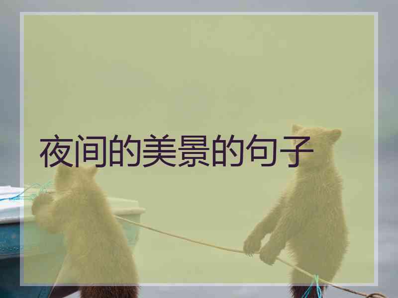 夜间的美景的句子