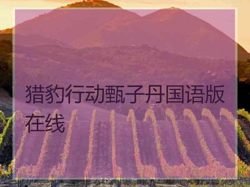 猎豹行动甄子丹国语版在线
