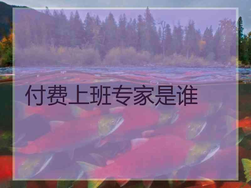 付费上班专家是谁