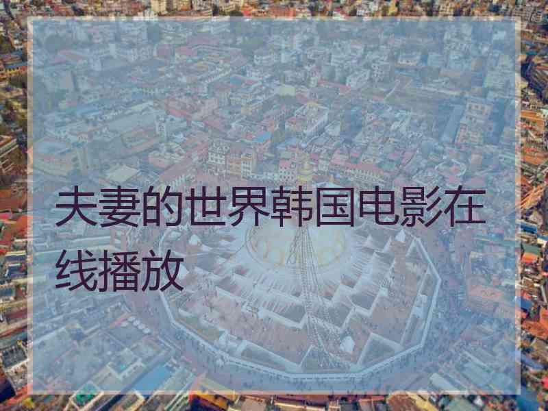 夫妻的世界韩国电影在线播放