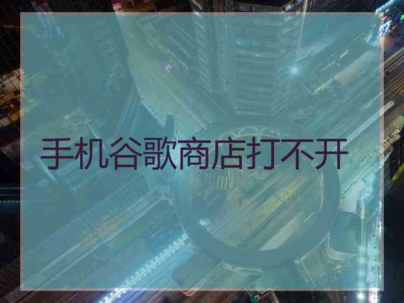 手机谷歌商店打不开