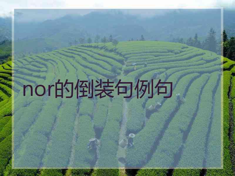 nor的倒装句例句