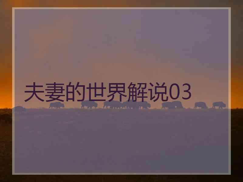 夫妻的世界解说03