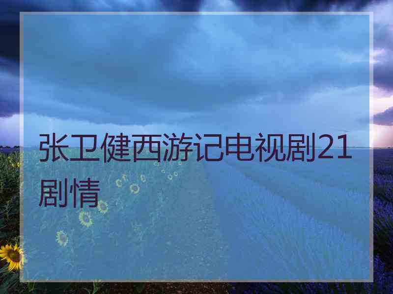 张卫健西游记电视剧21剧情