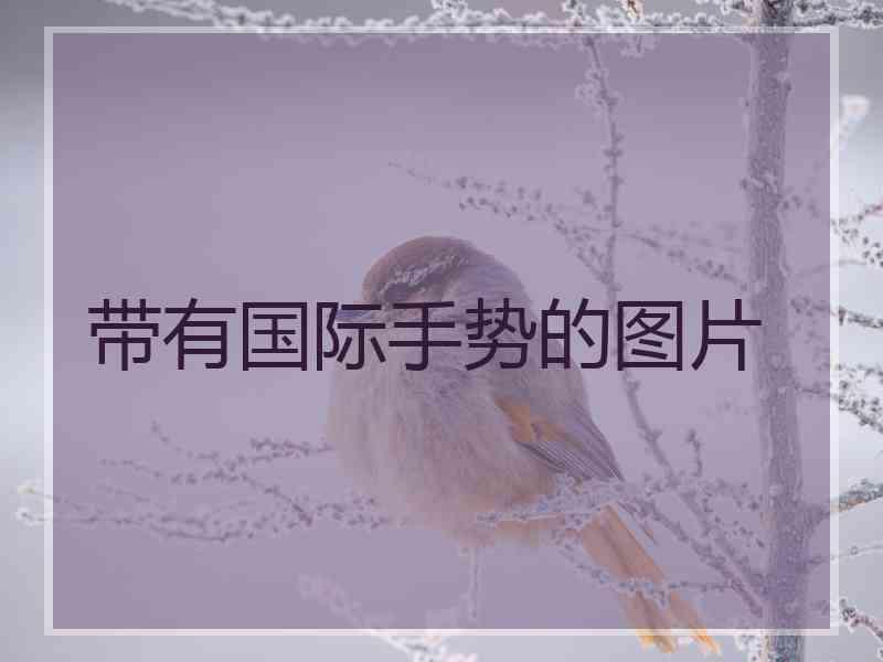 带有国际手势的图片