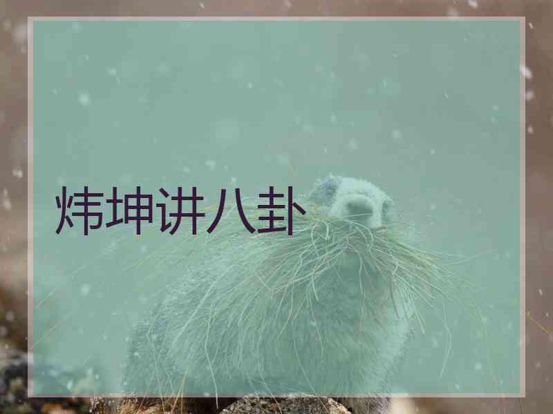 炜坤讲八卦