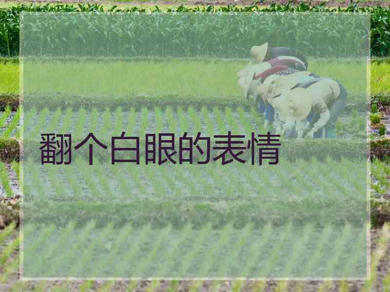 翻个白眼的表情