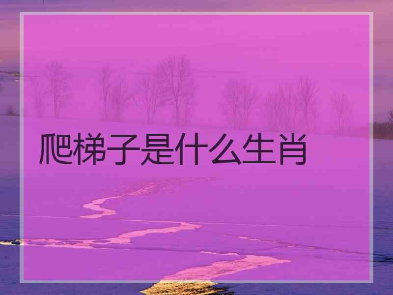 爬梯子是什么生肖