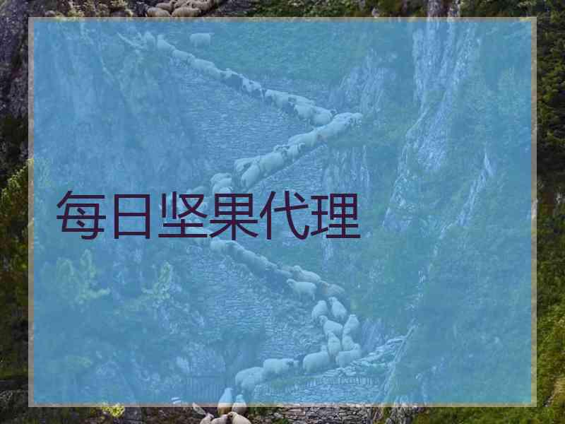 每日坚果代理