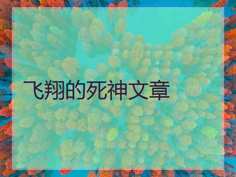 飞翔的死神文章