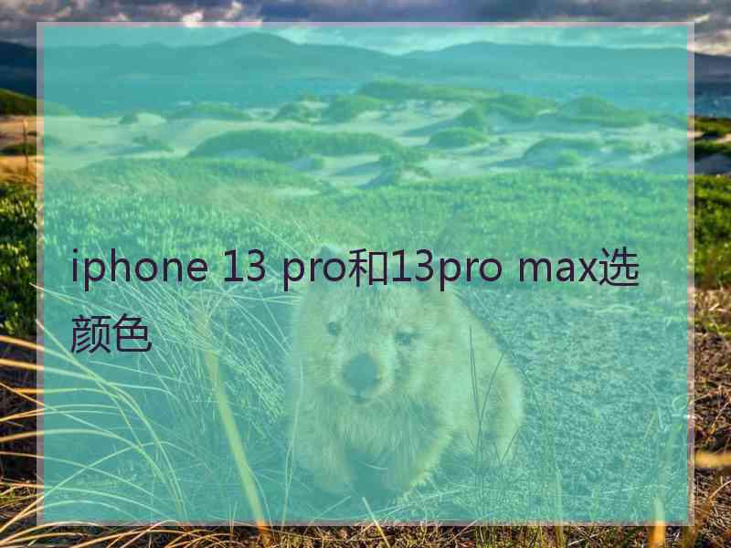 iphone 13 pro和13pro max选颜色