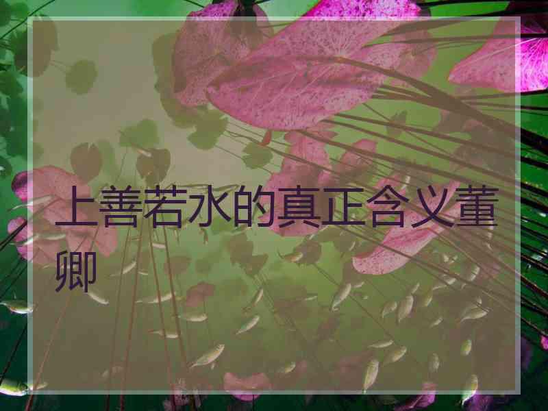 上善若水的真正含义董卿