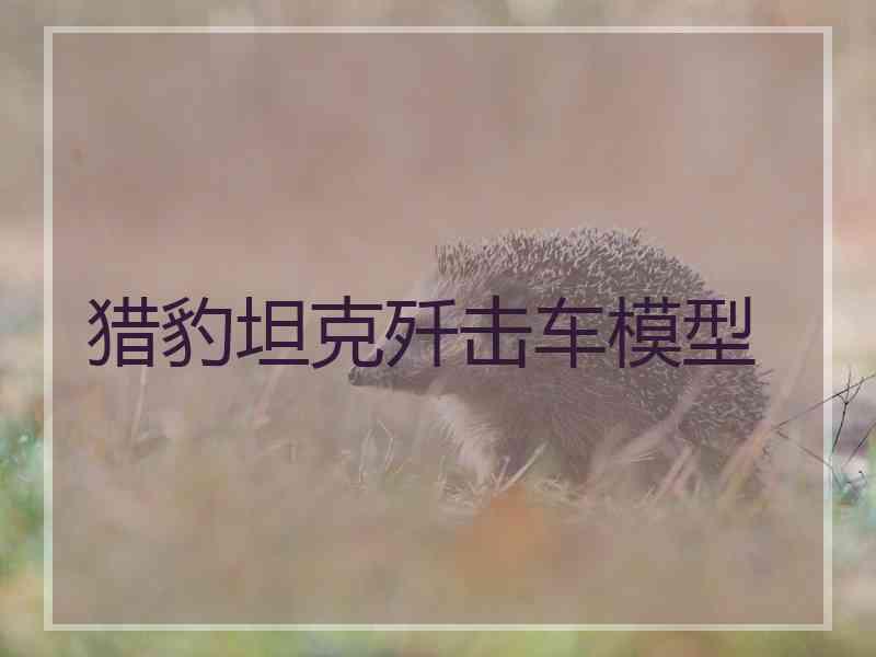 猎豹坦克歼击车模型